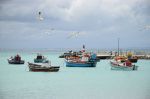 088. Struisbaai.jpg